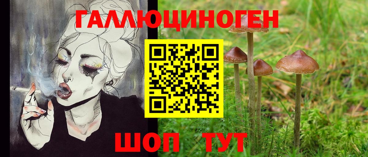 Балашов  Псилоцибиновые грибы MAGIC MUSHROOMS  где найти   Вход с VPN 