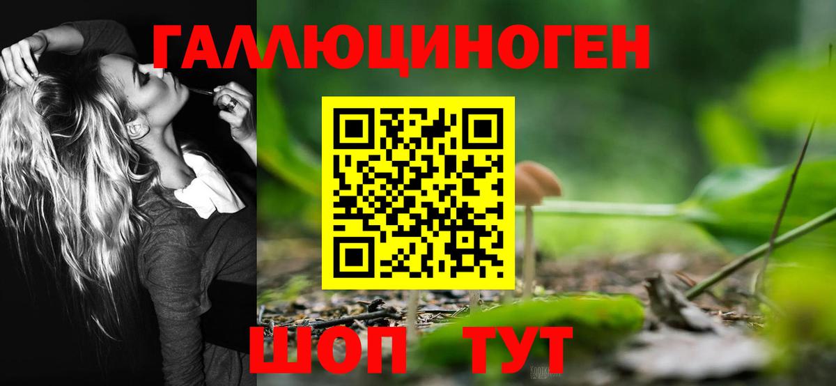 Галлюциногенные грибы MAGIC MUSHROOMS Балашов