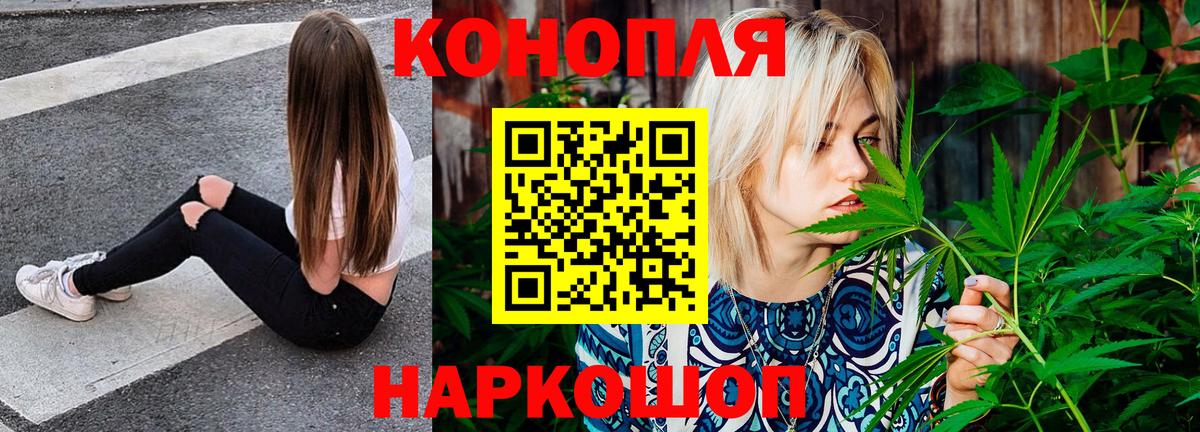 Бошки Шишки план Балашов